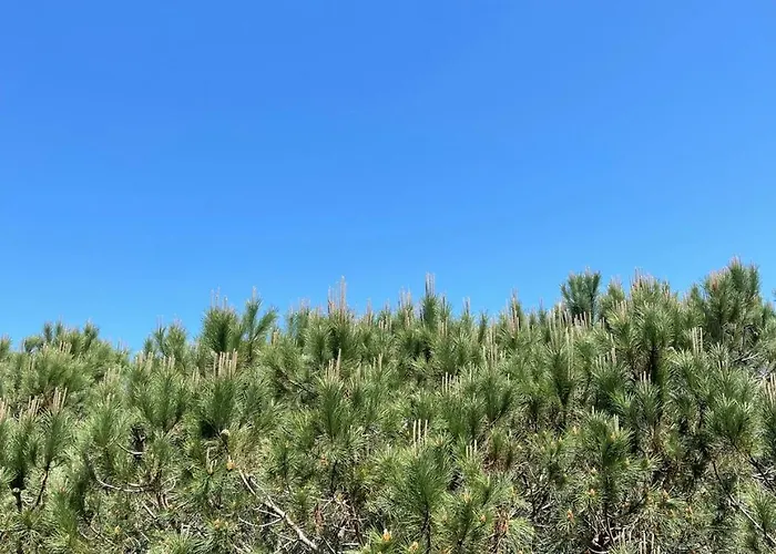 דירה Lovely 2-bedroom Free Parking Natural *