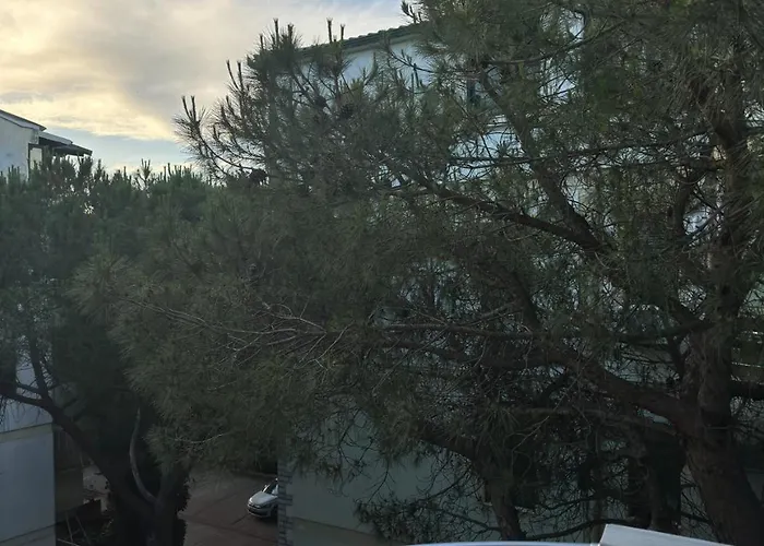 Apartment Lovely 2-bedroom Free Parking Natural *