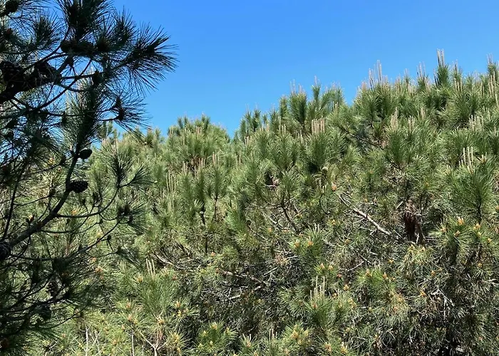 Apartment Lovely 2-bedroom Free Parking Natural